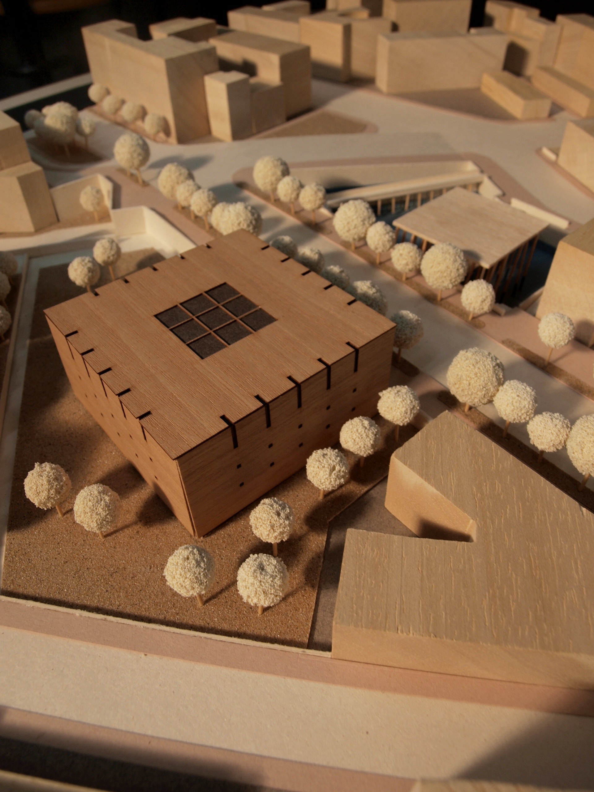 ??????????????????????