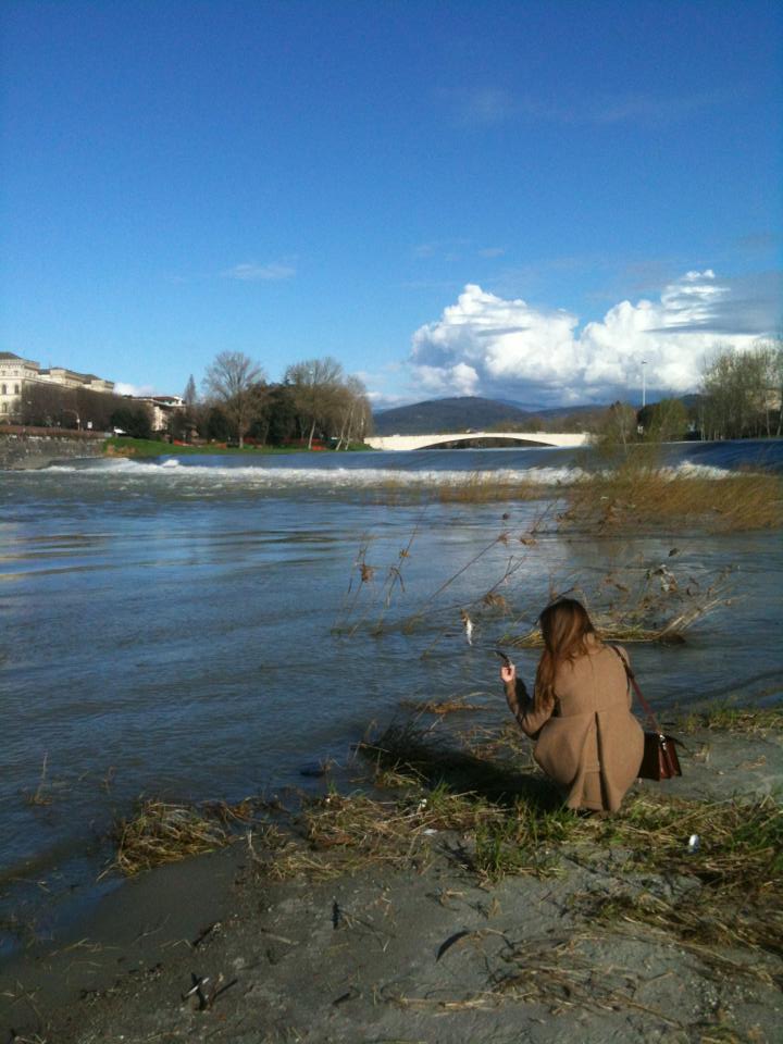 521868_10152716843955051_2064477864_n